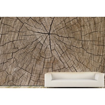 Tree trunk Wood Vinyl Wall Art Wallpaper